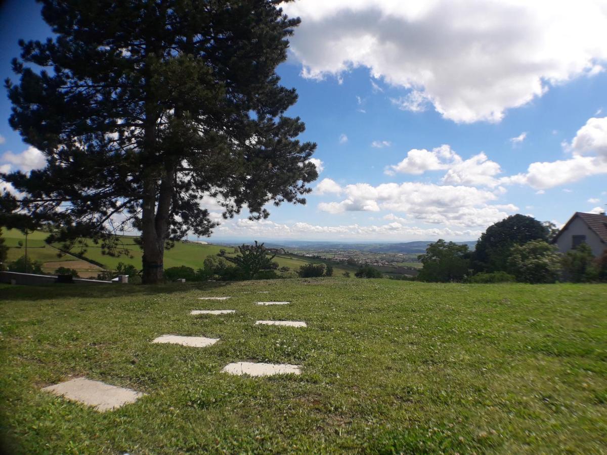 Saint-Martin-la-Plaine 170 M² Entre Lyon Et St Etienne 빌라 외부 사진