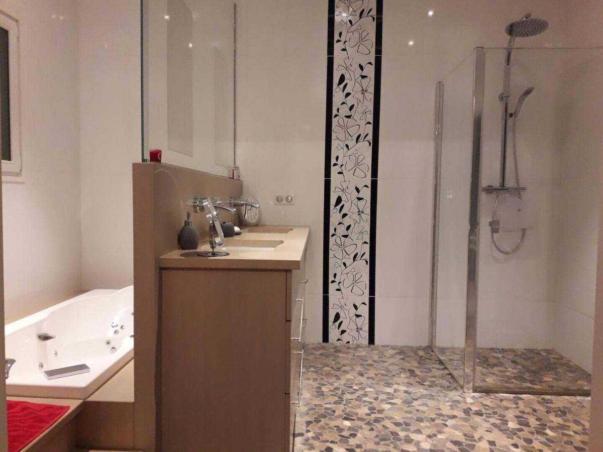 Saint-Martin-la-Plaine 170 M² Entre Lyon Et St Etienne 빌라 외부 사진